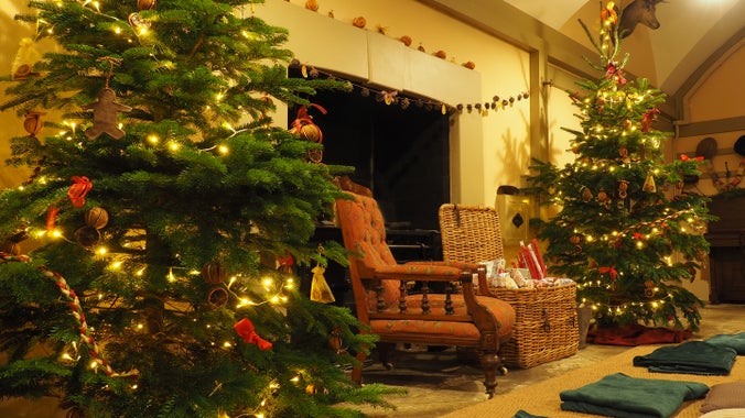 two arm chairs seated in front of a fire with christmas trees traditionally decorated either side